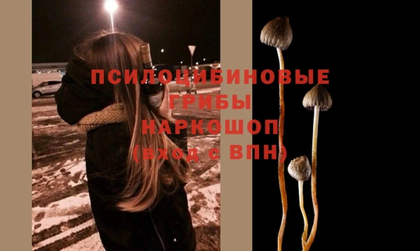 гашик Майский