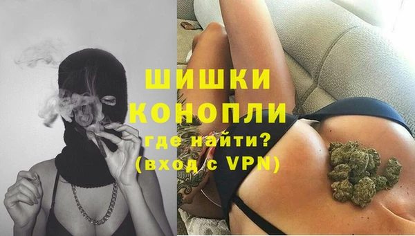 гашик Майский