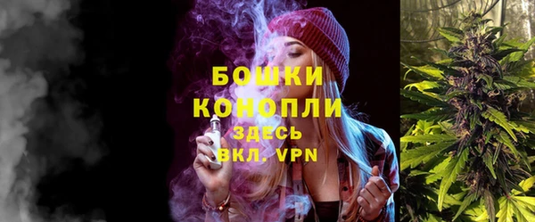 гашик Майский