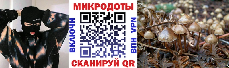Галлюциногенные грибы мухоморы  Зея 