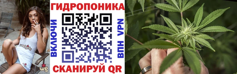 мега рабочий сайт  Зея  Каннабис сатива  где купить  